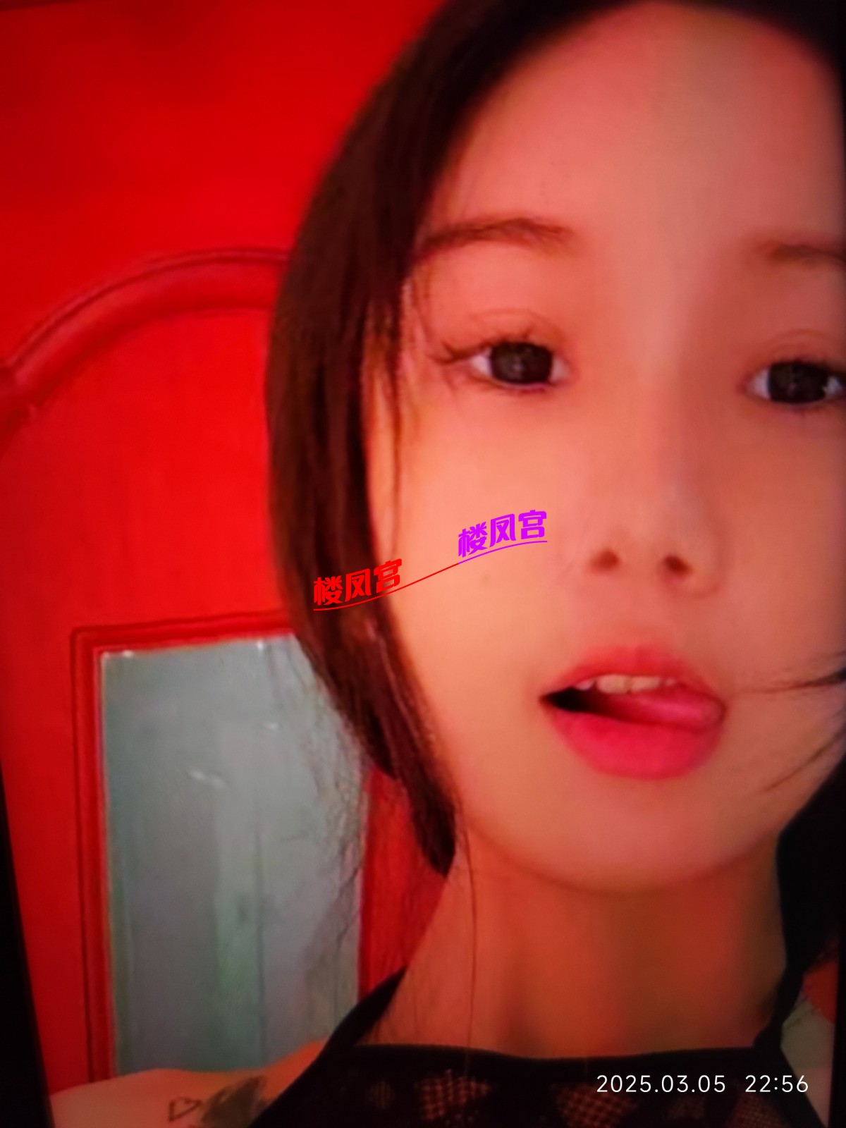 1741186592642.jpg