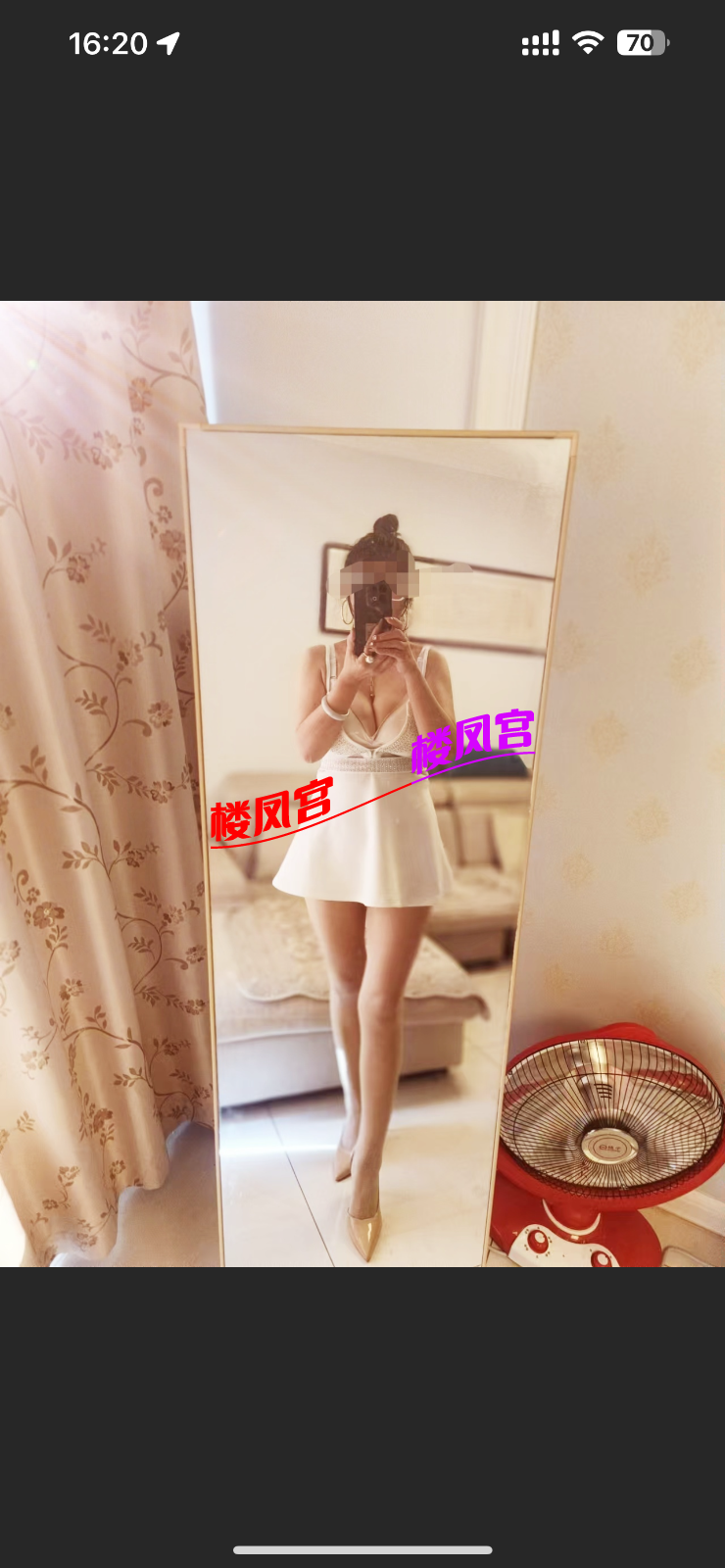 IMG_2847.png