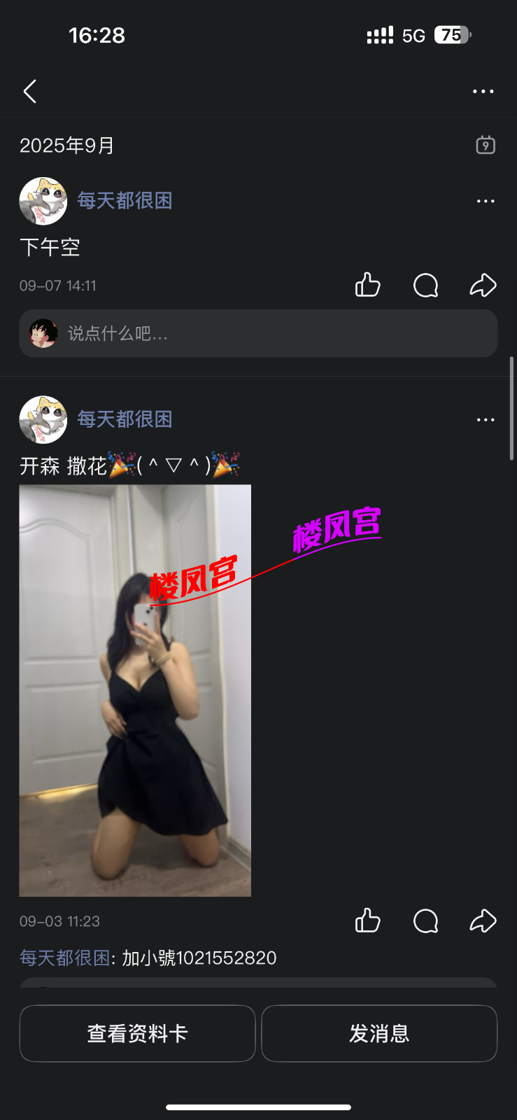 IMG_2023.png